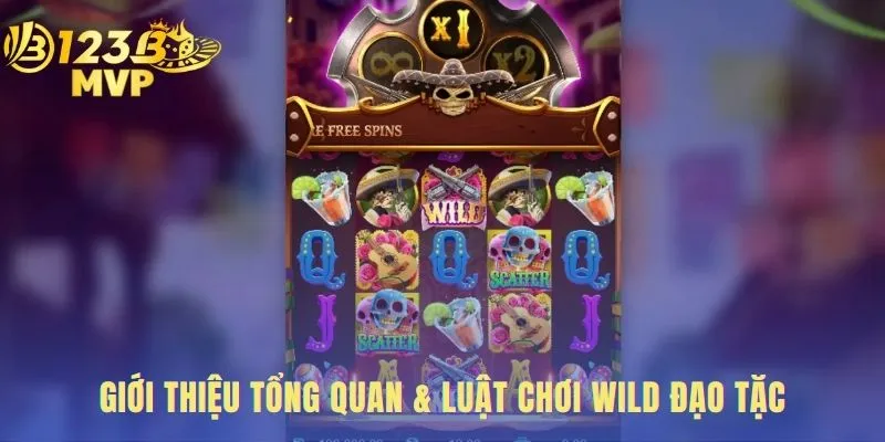 Wild đạo tặc với cấu trúc 5 cuộn 1024 dòng thanh toán